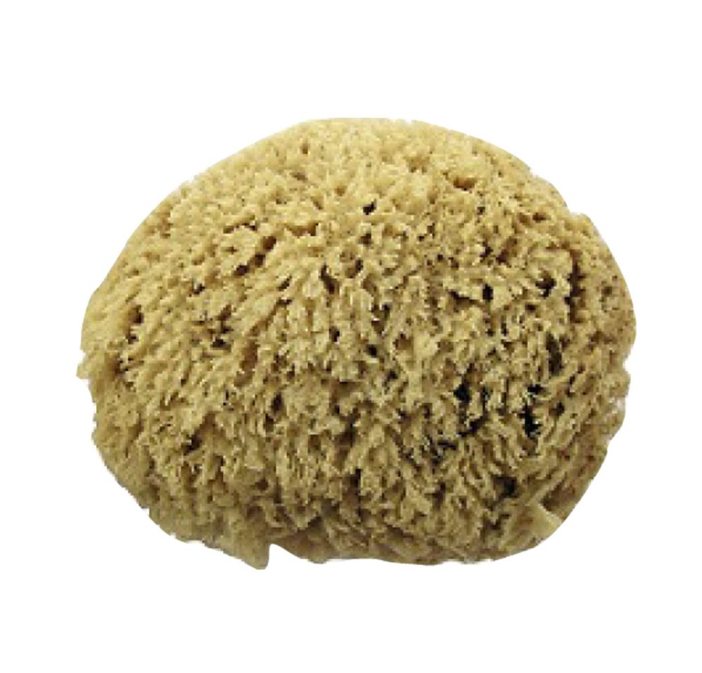 Esponja natural