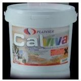 Cal viva