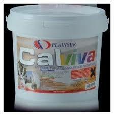 Cal viva